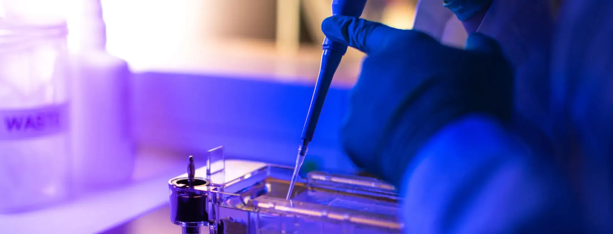 Jel Yükleme Pipet Ucu