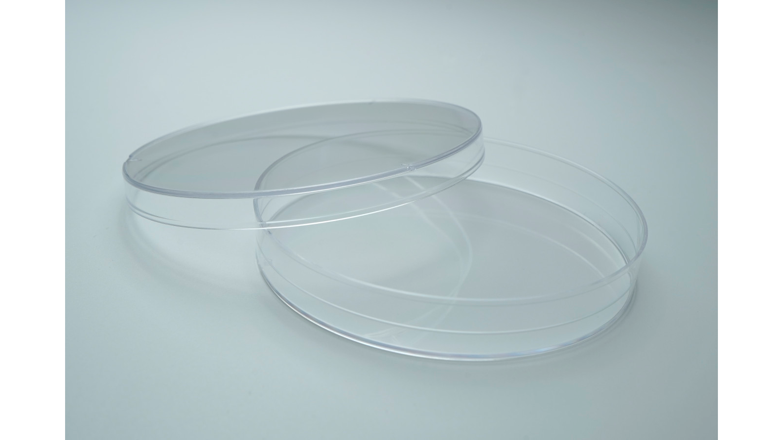 Bakteriyel Petri Kapları - Görsel 1