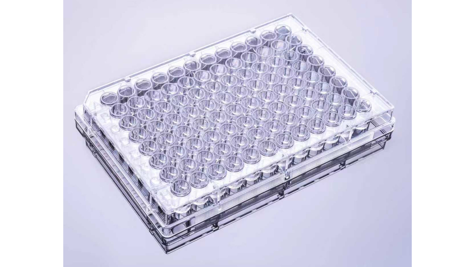 ELISA Plakaları - Görsel 1