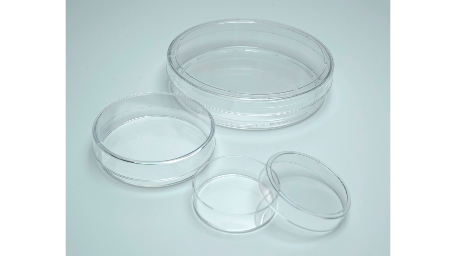 Hücre Kültürü Kapları - Görsel 1