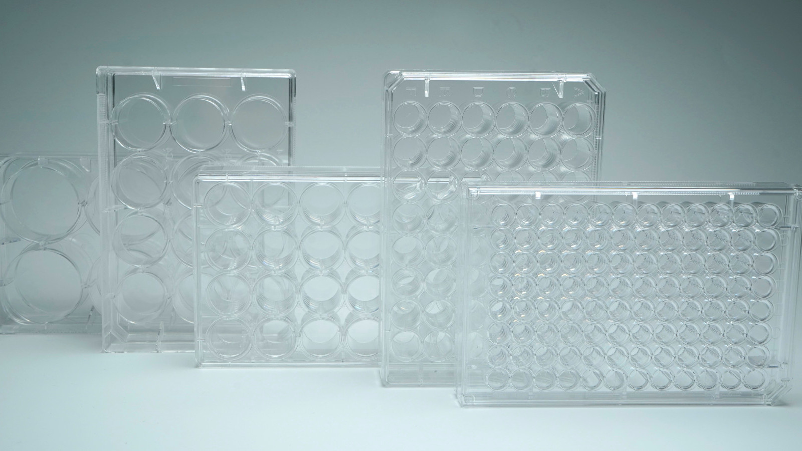 Kuyucuklu Hücre Kültürü Plakaları - Görsel 1