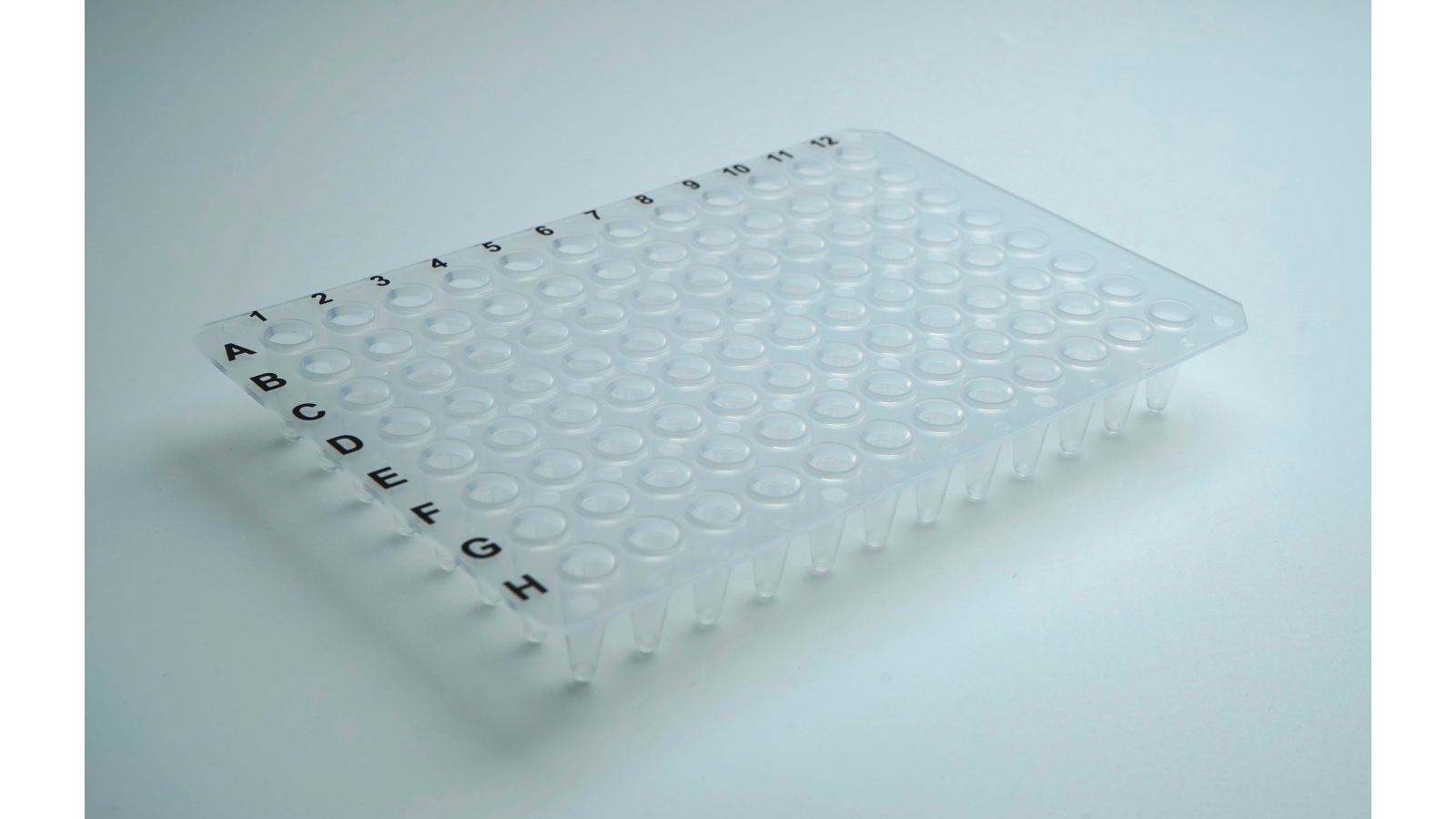 PCR Plakaları - Görsel 1